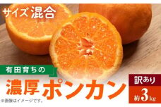AB6053n_【極甘柑橘】有田育ちの 濃厚 ポンカン 【訳あり 家庭用】3kg（サイズ混合）