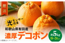 AB6175n_【2026年先行予約】和歌山有田の 濃厚 デコポン 5kg サイズ おまかせ 糖度 13度以上 光センサー 選果 こだわり 厳選 濃厚 甘さ 適度 酸味 不知火 フルーツ 果物 デザート 柑橘 果実 濃厚 甘味 国産 食品 食べ物 お取り寄せ お取り寄せフルーツ 和歌山県 湯浅町 送料無料