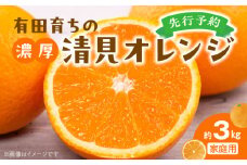 AB7342_有田育ちの 濃厚 清見 オレンジ【訳あり 家庭用】3kg