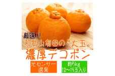 AB7207_【2026年先行予約】和歌山有田の濃厚 大玉 デコポン 5kg