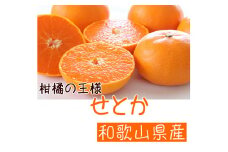 AB6302_【2026年先行予約】柑橘の王様 和歌山有田の 濃厚せとか 4～5kg