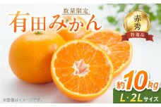 BF6003_【2025年先行予約】【数量限定】【赤秀 特選品】 有田みかん L,2Lサイズ約10kg【ミカン 蜜柑 柑橘 温州みかん 有田みかん 和歌山 贈答 ギフト】