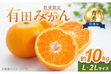 BF6008n_【2025年先行予約】【数量限定】 有田みかん 青秀 L,2Lサイズ 約10kg 【ミカン 蜜柑 柑橘 温州みかん 有田みかん 和歌山 贈答 ギフト】