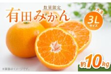 BF6012n_【2025年先行予約】【数量限定】 有田みかん 大玉 3Lサイズ 10kg 【ミカン 蜜柑 柑橘 温州みかん 有田みかん 和歌山】
