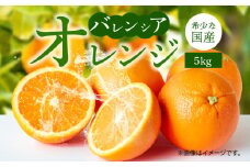 G7079_ 希少 国産 秀品 バレンシアオレンジ 5kg 果汁 豊富 糖度 高い 甘い 爽快感 香り 酸味 味わい スッキリ 栄養補給 柑橘 オレンジ 果物 フルーツ 果実 食品 食べ物 おやつ デザート お取り寄せ お取り寄せフルーツ 和歌山県 湯浅町 送料無料