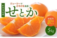 G7355_【2026年先行予約】とろける食感！ジューシー柑橘 せとか 5kg 【家庭用 訳あり】