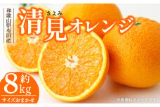 V7414_清見オレンジ [約8kg] 和歌山県有田産 春みかん (果実サイズおまかせ) 春みかん 紀伊国屋文左衛門本舗 ※日時指定不可