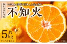 V7412_デコ不知火 [約5kg] 和歌山県有田産 春みかん (果実サイズおまかせ) 春みかん 紀伊国屋文左衛門本舗