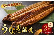 V6206_炭焼きうなぎ蒲焼　大サイズ2尾セット（約150～199g×2尾）タレ・粉山椒付き　国産鰻　冷凍ウナギ　1尾ずつ真空パック　土用の丑の日　紀伊国屋文左衛門本舗