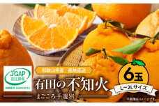 ZE6110n_ 【2026年先行予約】有田の不知火(しらぬひ)　6玉 （L～2Lサイズ）まごころ手選別
