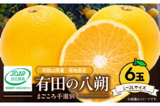 ZE6306n_【2026年先行予約】有田の八朔 (はっさく) 1.5kg　6玉（L～2Lサイズ）まごころ手選別