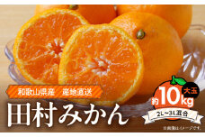 ZE6310n_和歌山 湯浅町産 田村みかん 10kg 【大玉】