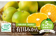 ZE6318n_【まごころ手選別】和歌山の有田みかん (極早生) 化粧箱入り Mサイズ 