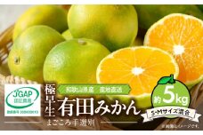 ZE6325n_【まごころ手選別】和歌山の有田みかん(極早生) 5kg S・Mサイズ混合 
