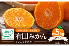 ZE6327n_和歌山の有田みかん5kg Sサイズ 
