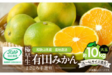 ZE6324n_【まごころ手選別】和歌山の有田みかん(極早生)　10kg　大玉　2L～4Lサイズ混合 