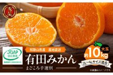 ZE6333n_【2025年先行予約】和歌山有田みかん10(大玉)　2L～4Lサイズ混合 