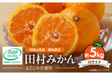 ZE6340n_和歌山 湯浅町産 田村みかん 5kg【2Sサイズ】  ※着日指定不可