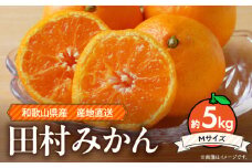 ZE6342n_和歌山 湯浅町産 田村みかん 5kg【Mサイズ】 ※着日指定不可