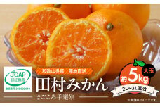 ZE6345n_和歌山 湯浅町産 田村みかん 5kg【大玉】