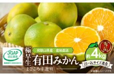 ZE6346n_【まごころ手選別】和歌山県産 有田みかん（極早生）4kg 秀品   ※着日指定不可