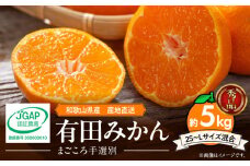 ZE6348n_【2025年先行予約】和歌山県産 有田みかん 5kg (2S～Lサイズ混合)【まごころ手選別】