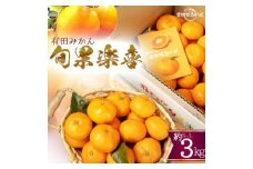 ZY6107n_有田みかん 旬果楽喜 約3kg入【ミカン 蜜柑 柑橘 温州みかん 有田みかん 和歌山】