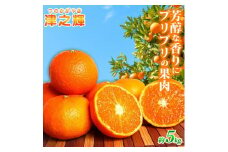 G7057_和歌山産 津之輝 (つのかがやき) 5kg【ミカン 蜜柑 春みかん 柑橘 和歌山 有田】