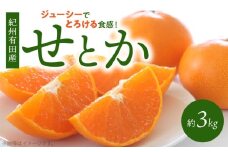 G7353_【2026年先行予約】とろける食感！ジューシー柑橘 せとか 3kg