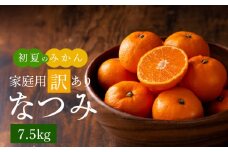 G7073_【2026年先行予約】初夏のみかん なつみ 7.5kg【家庭用 訳あり】【ミカン 蜜柑 柑橘 和歌山 有田 南津海】