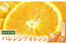 G7080_希少な 国産 バレンシアオレンジ 7kg 【家庭用 訳あり】【国産オレンジ オレンジ 柑橘 フルーツ 和歌山 有田】