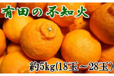 ZD6058n_【2026年先行予約】【濃厚】有田の 不知火 (デコポン) 約5kg（18玉～28玉おまかせ）