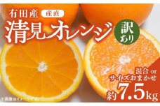 ZD6386n_【2026年先行予約】【産直】有田産清見オレンジ 約7.5kg（訳あり家庭用サイズおまかせまたは混合）