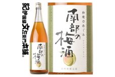V7294_(A013)和歌のめぐみ【南部の梅酒】一升瓶 梅酒 1800ml　世界一統