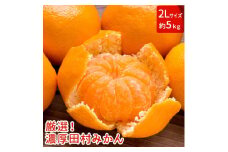 AB7114n_【和歌山特産品】【プレミアムブランド】絶品！ 田村みかん 5kg (2Lサイズ)