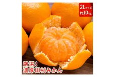 AB6173n_【和歌山特産品】【プレミアムブランド】絶品！ 田村みかん 10kg (2Lサイズ)