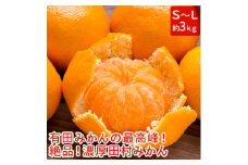 AB7007n_【和歌山特産品】【プレミアムブランド】絶品！田村みかん 約３kg