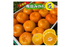 BD7002n_12_[12月出荷] 有田みかん 家庭用 5kg 少々 訳あり (M～Lサイズおまかせ)