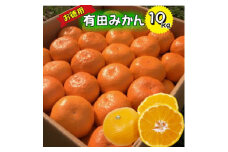BD7001n_12_[12月出荷] 有田みかん 家庭用 10kg 少々 訳あり (M～2Lサイズおまかせ)