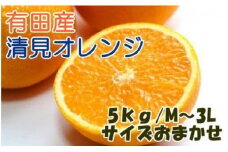ZD6113n_【2026年先行予約】【産直】有田産清見オレンジ 約5kg (秀品サイズおまかせ)