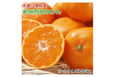ZD6194n_【厳選】和歌山 有田みかん 3kg (S～Lサイズ混合・秀品)