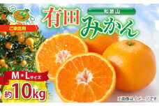 ZJ6088_【2025年先行予約】ご家庭用　和歌山 有田みかん 約10kg (M、Lサイズ)【湯浅町】