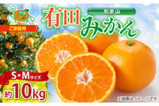 ZJ6077_【2025年先行予約】ご家庭用　和歌山 有田みかん 約10kg (S、Mサイズ)【湯浅町】