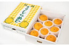 ZY6109n_ 果樹園紀の国 不知火 (しらぬひ) 3kg【みかん ミカン 蜜柑 柑橘 しらぬい デコポン 和歌山 有田】