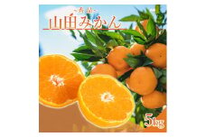 AM6001n_山田みかん 秀品 5kg (S・M・Lサイズいずれかおまかせ)