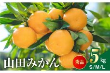 AM6001n_山田みかん 秀品 5kg (S・M・Lサイズいずれかおまかせ)