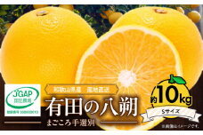 ZE6073n_【2026年先行予約】有田の八朔 (はっさく) 10kg（Sサイズ）まごころ手選別
