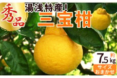 ZP6101n_湯浅特産！三宝柑 7.5kg【柑橘 和歌山 有田】