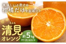 AN6002n_【和歌山県有田産】清見オレンジ（M～2Lおまかせ）5㎏