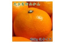 ZD6321n_【食べごたえ十分・秀品】【2025年先行予約】 和歌山 有田みかん 大玉 9kg (3Lサイズ)